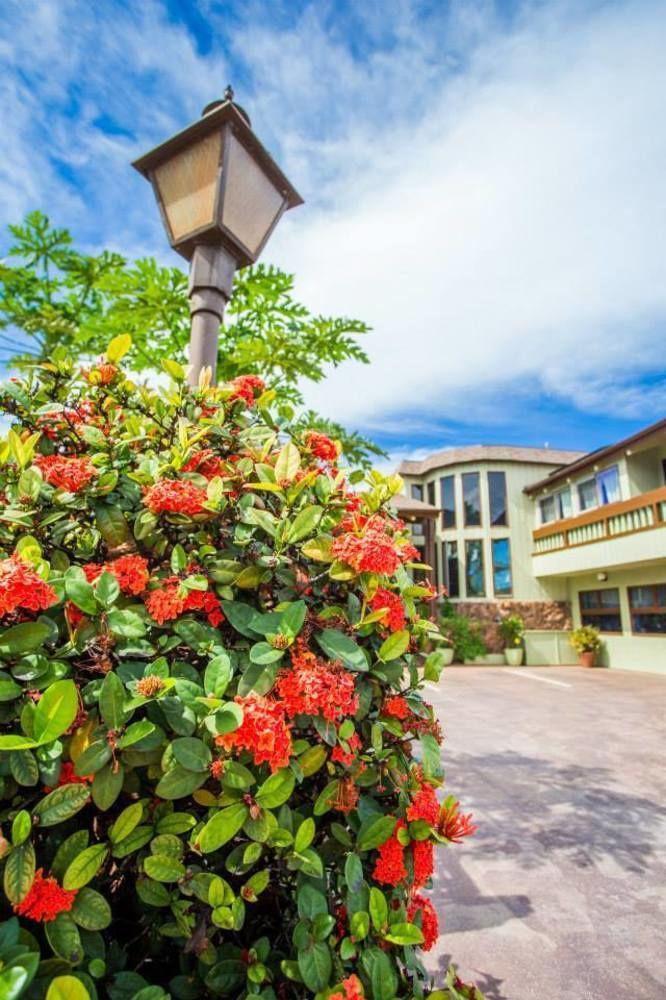 House Of Fountains Acomodação com café da manhã Lahaina Exterior foto